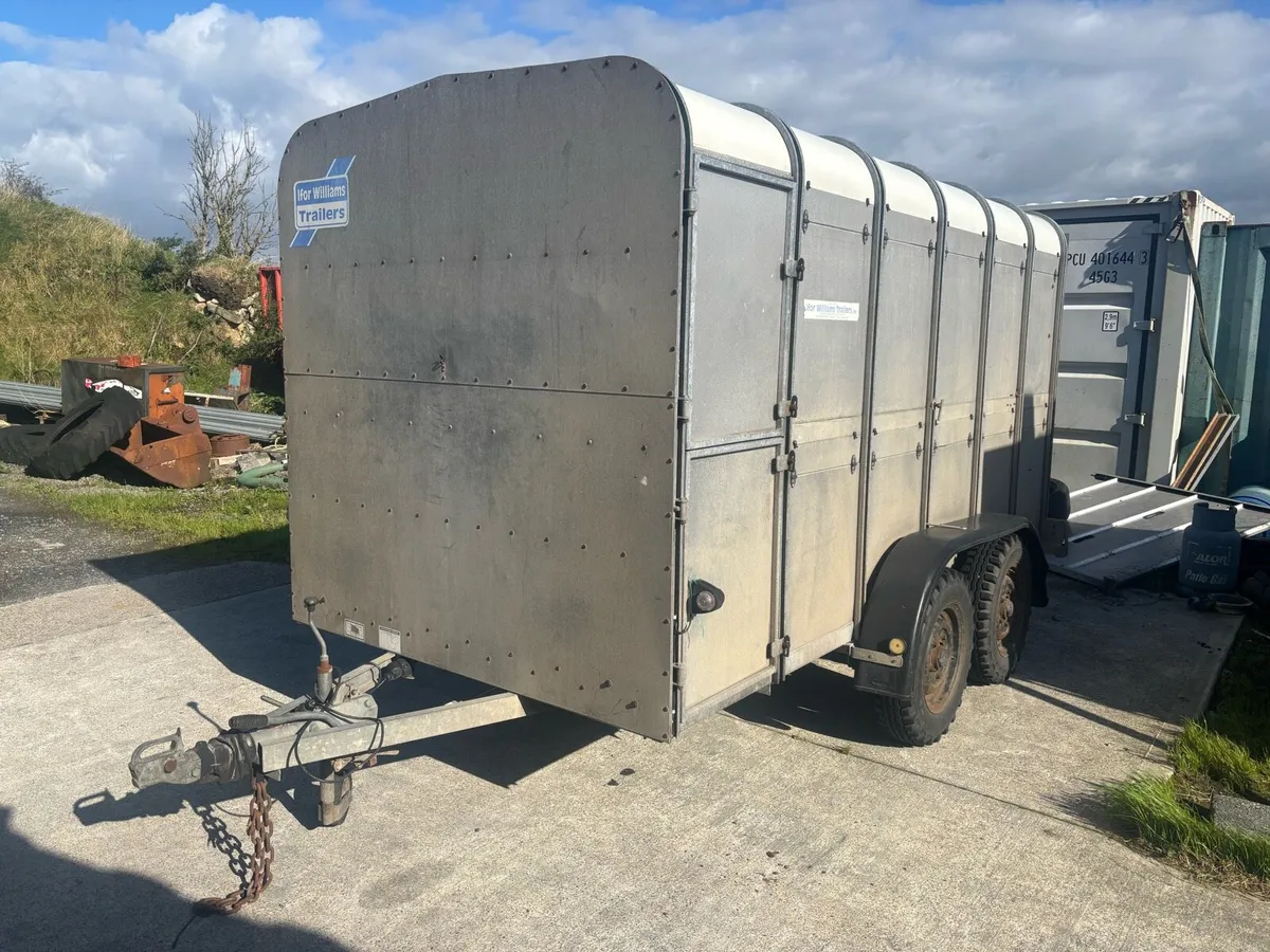 Ifor Williams 12x5”10 Livestock Trailer - Image 1