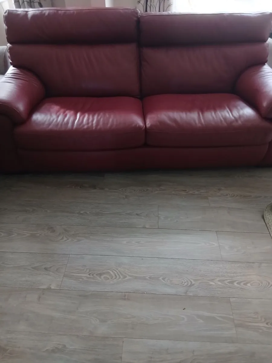 Natuzzi Leather Sofa - Image 1