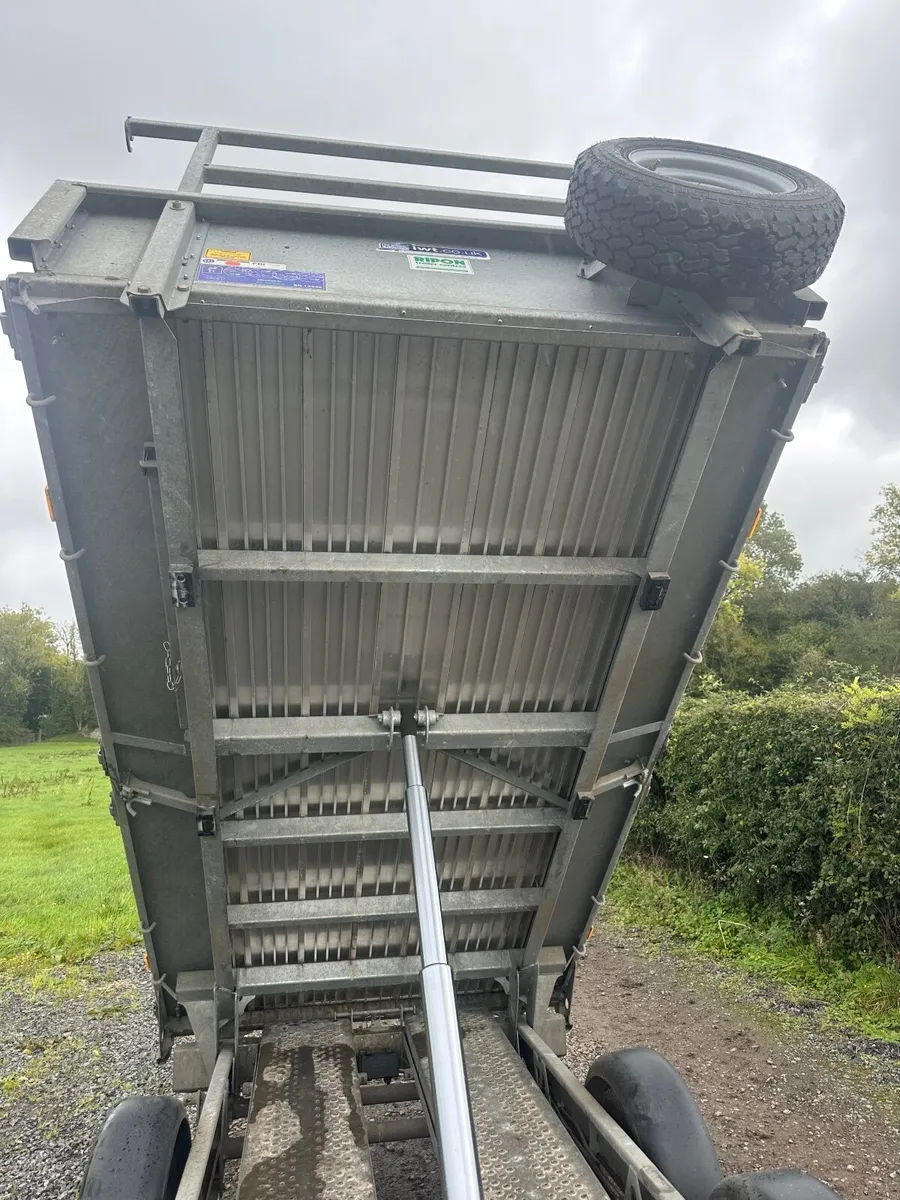 2024 Ifor Williams TT3017 10 x 5’6 Tipper - Image 2