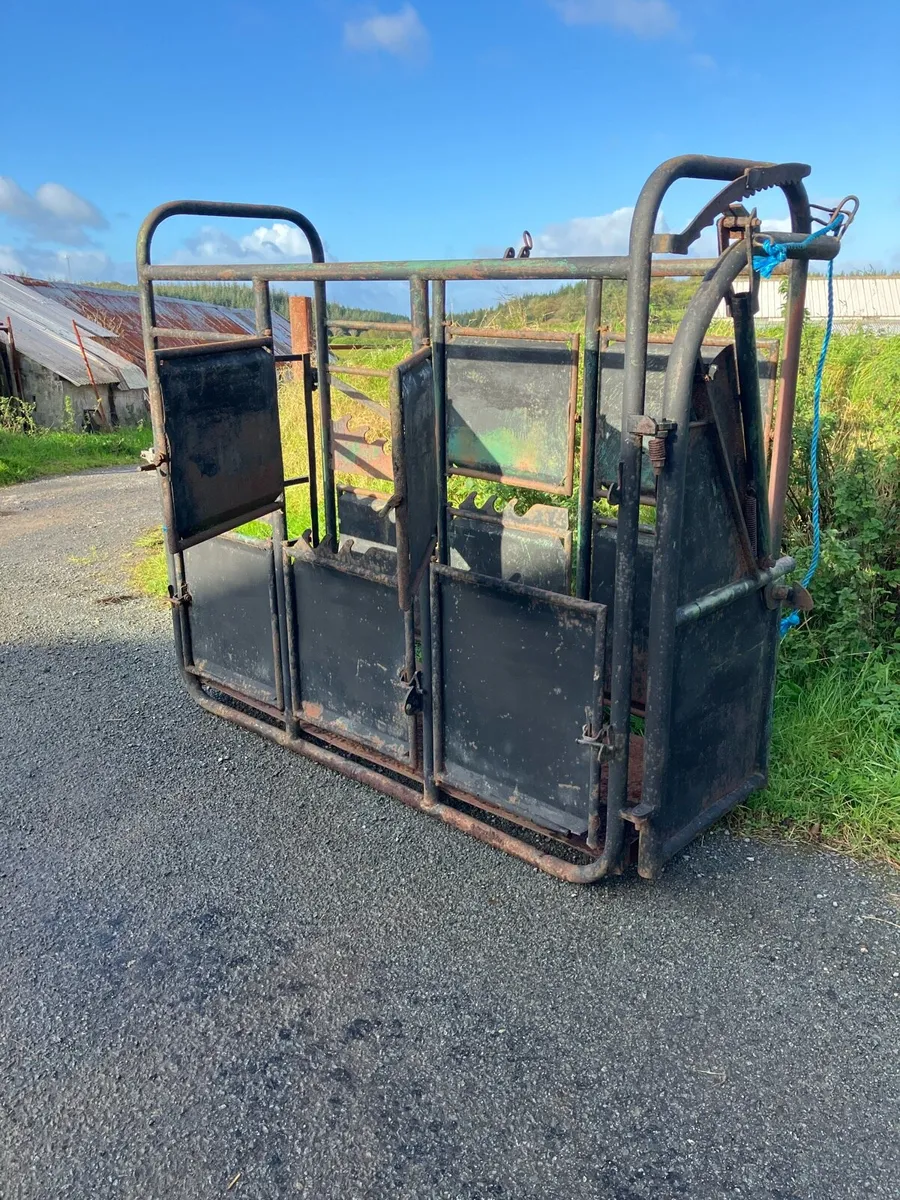 Mobile cattle crush - Image 2