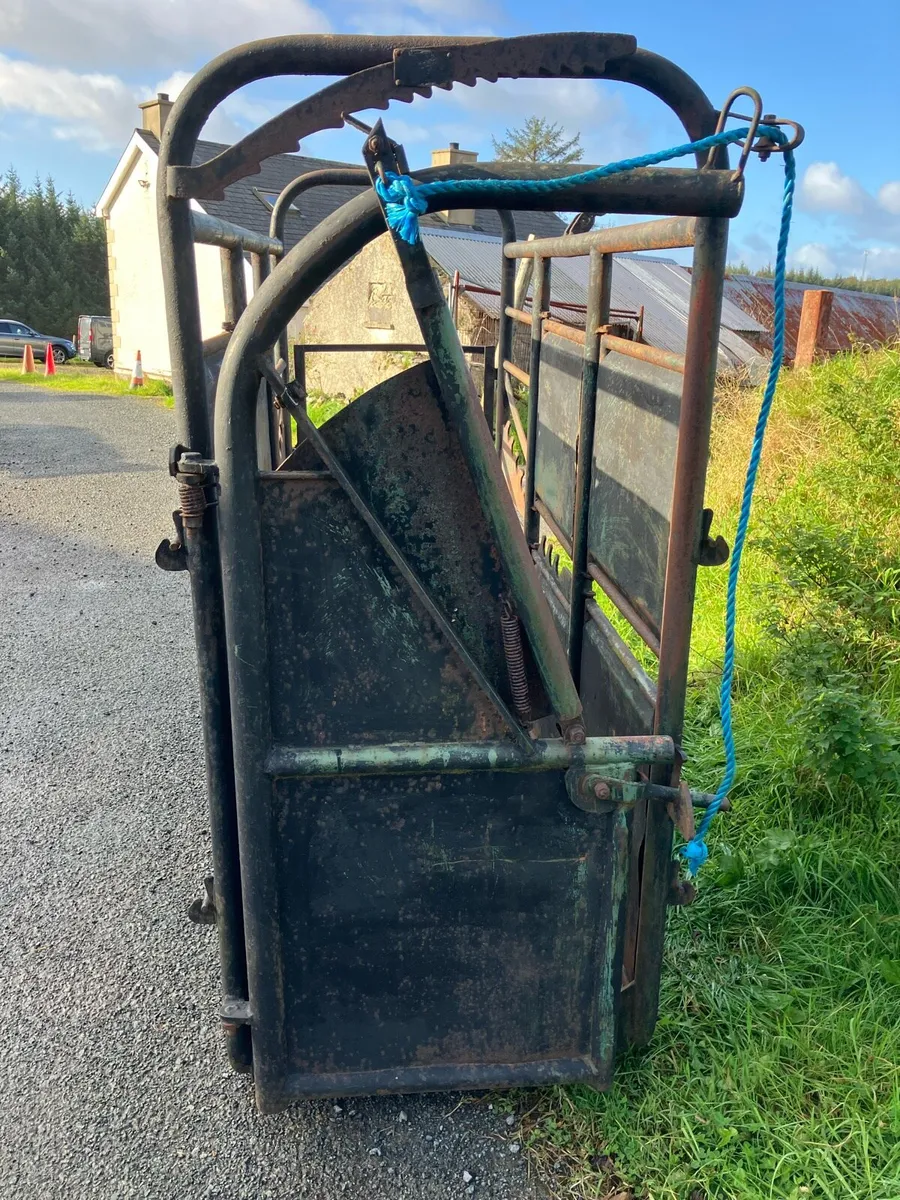 Mobile cattle crush - Image 3