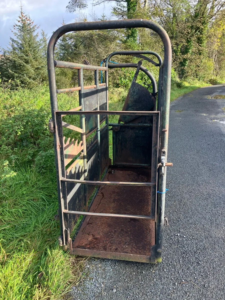 Mobile cattle crush - Image 4