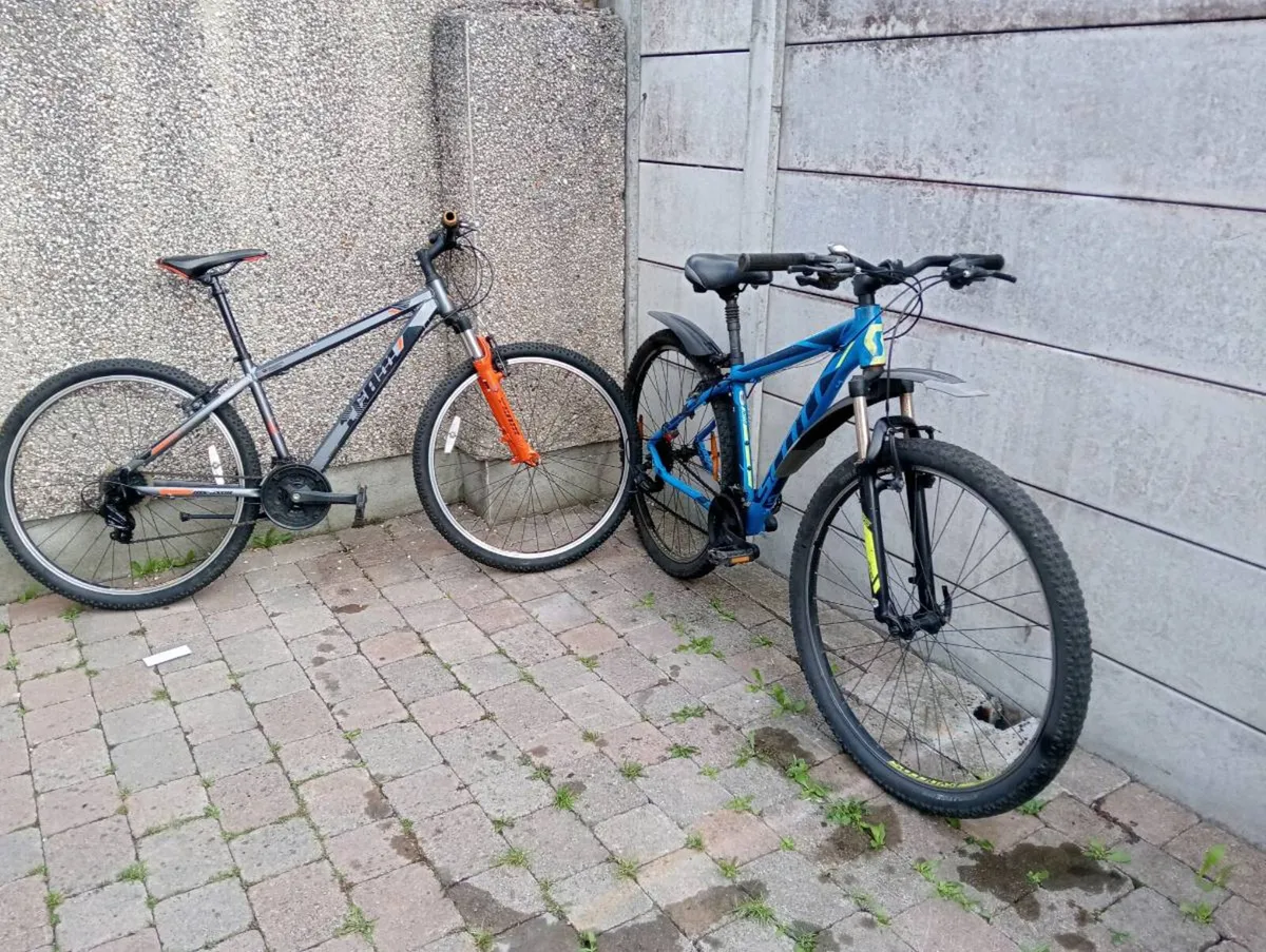 2 adult bikes - Image 1