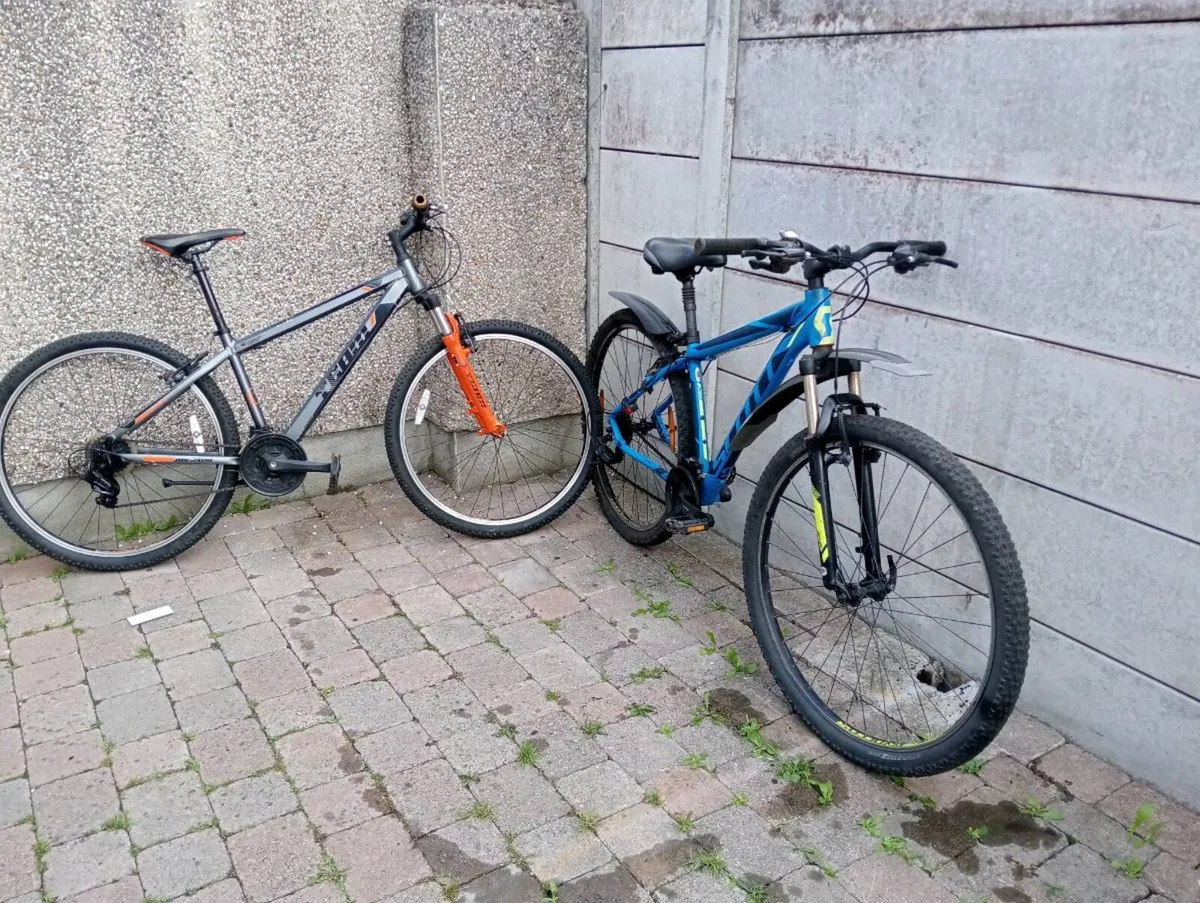 2 adult bikes - Image 2