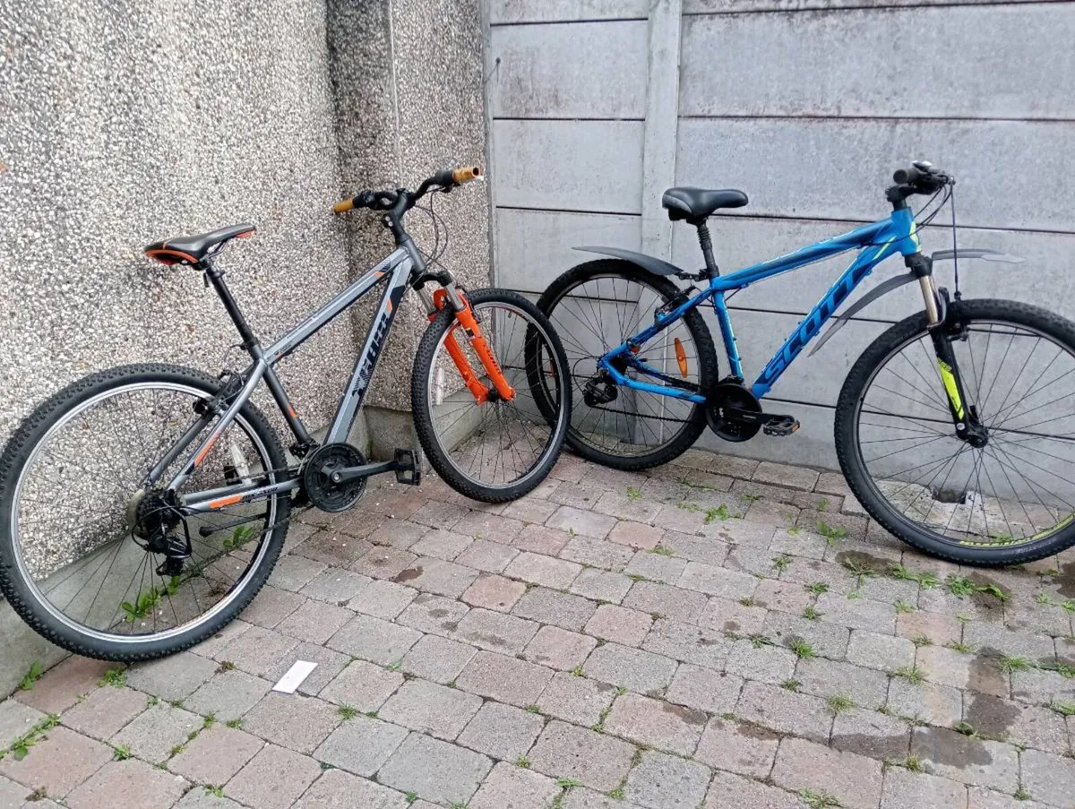 2 adult bikes - Image 4