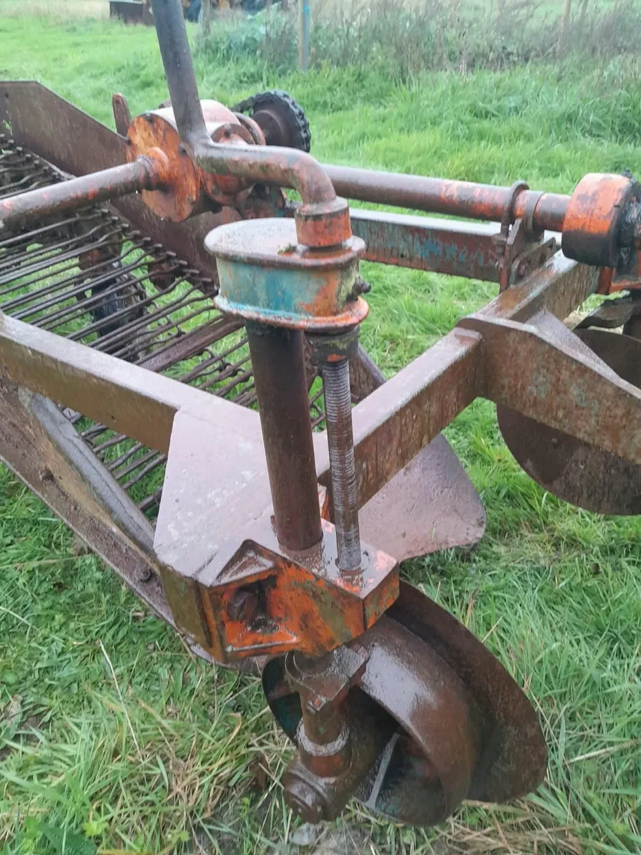 Johnston Potato Digger - Image 2