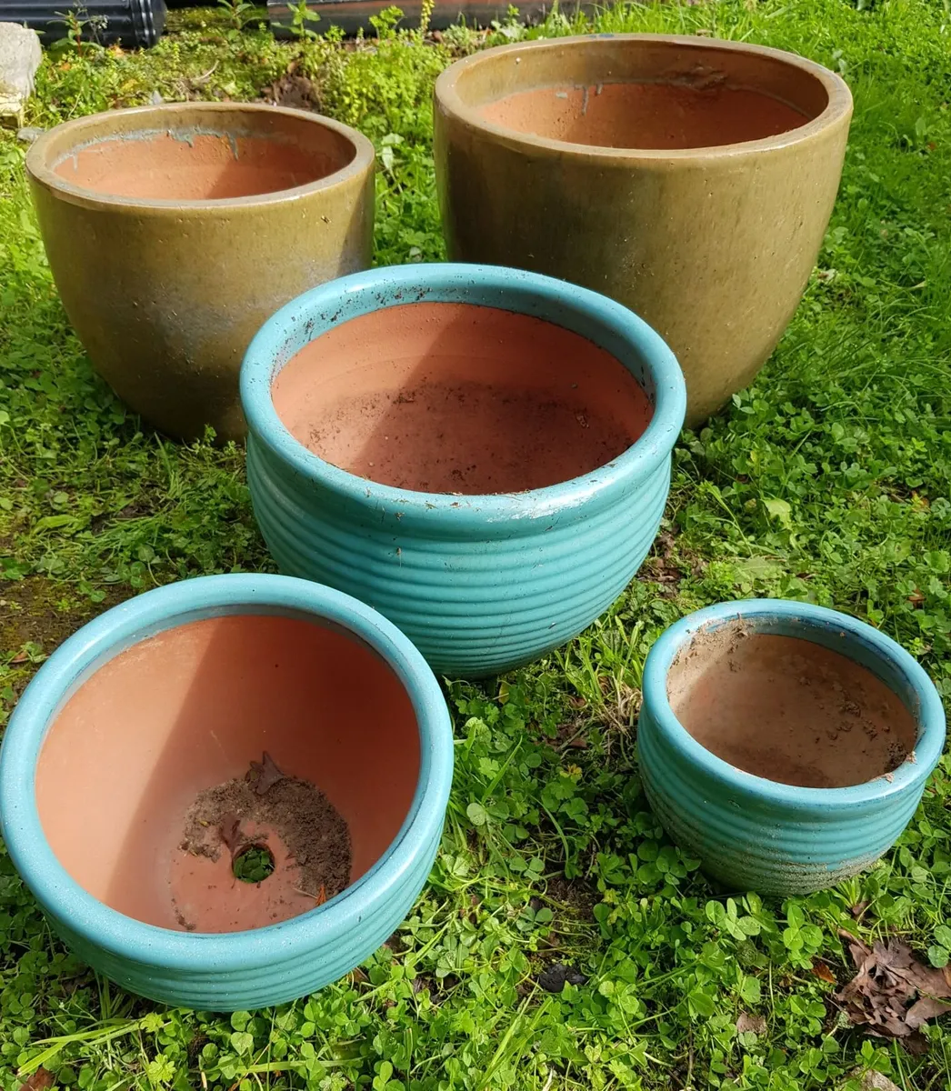 Plant Pots