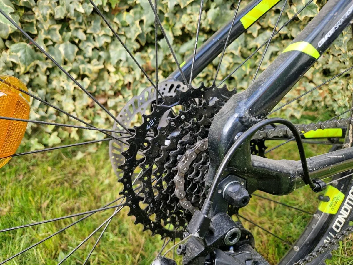 4 Bikes for the family - Image 2