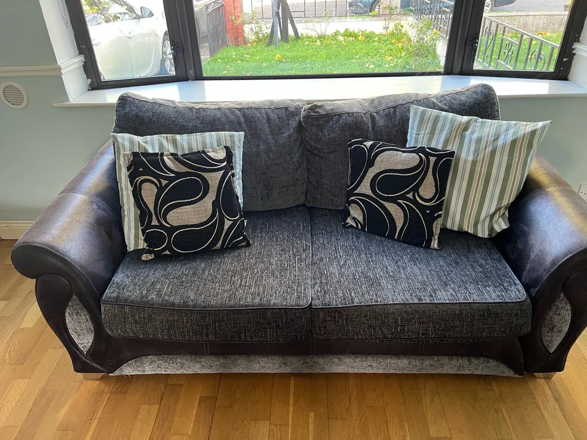 Two person couch and sofa bed - Image 1