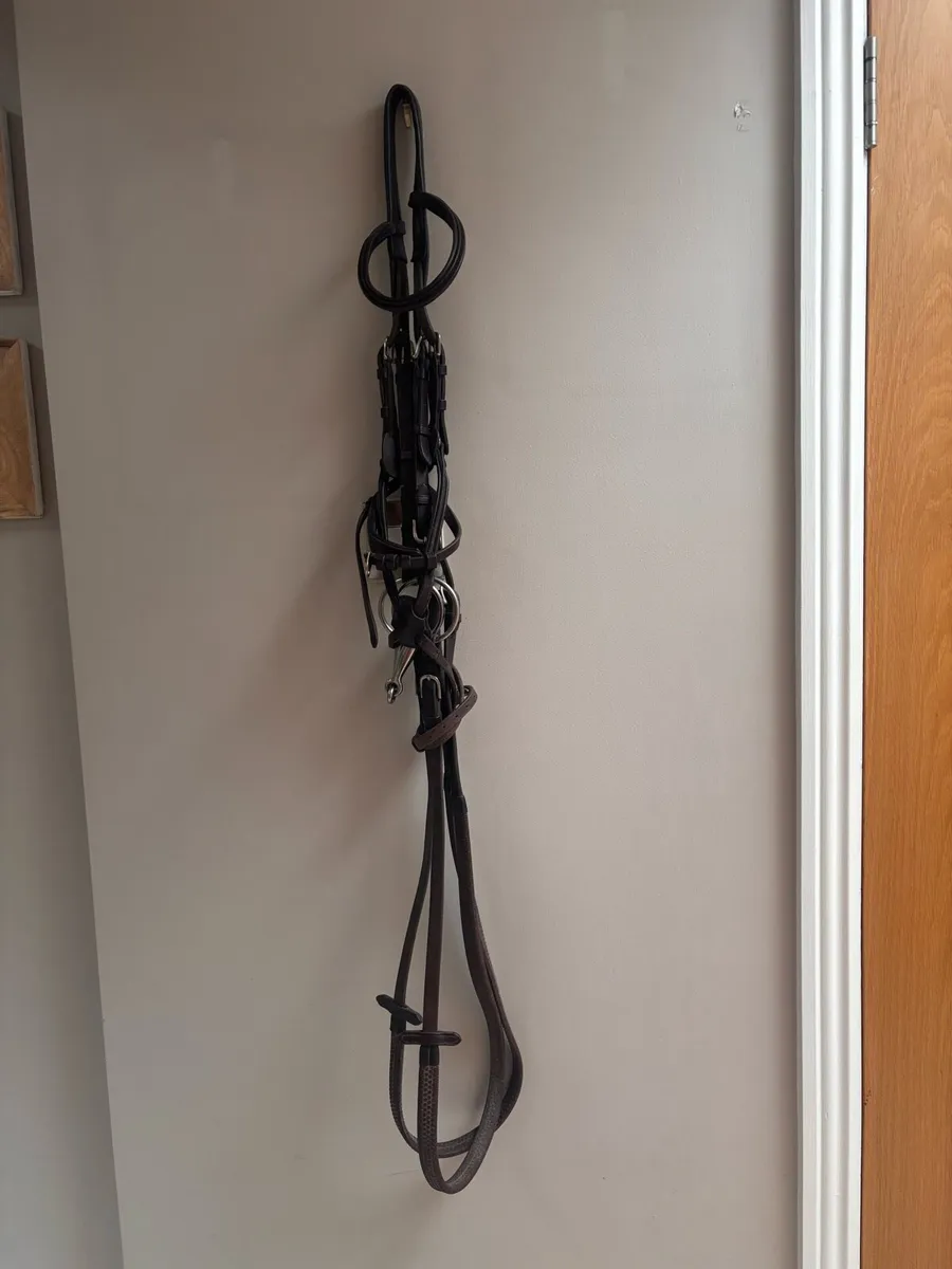 Horse bridle - Image 1
