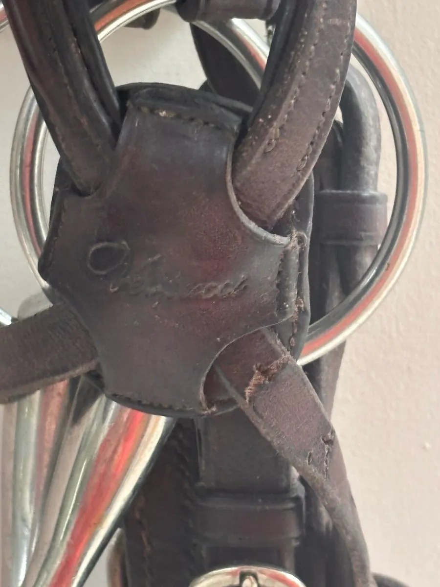 Horse bridle - Image 2