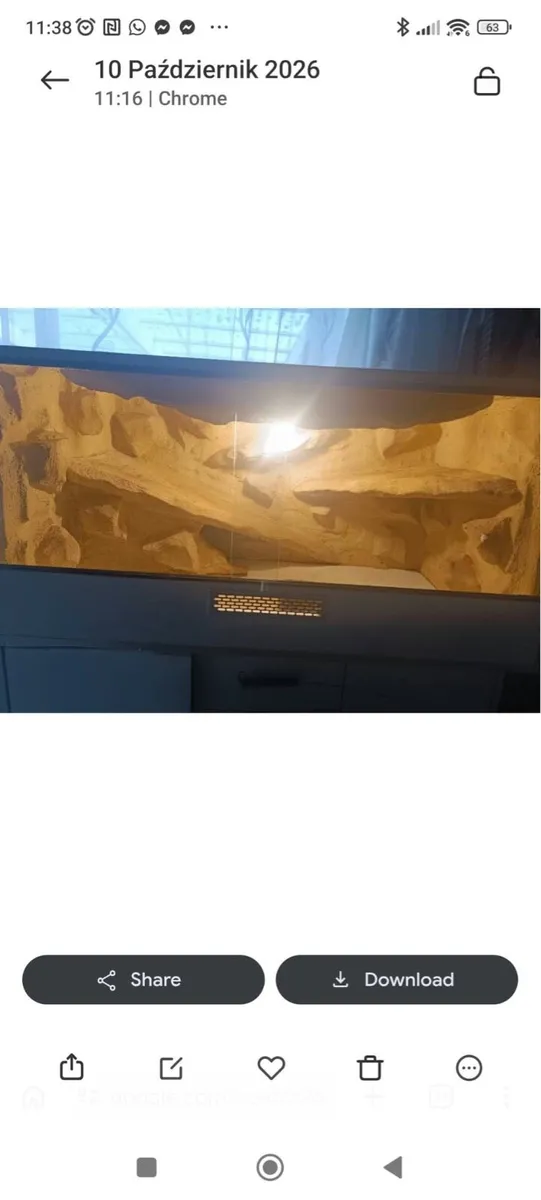 Bearded Dragon Tank - Image 1