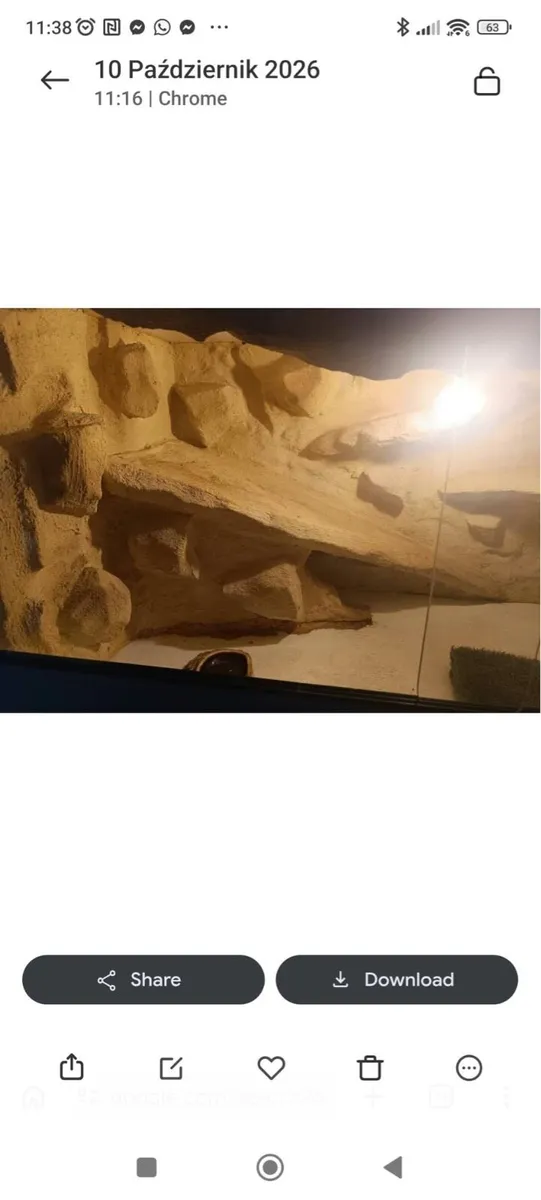 Bearded Dragon Tank - Image 2