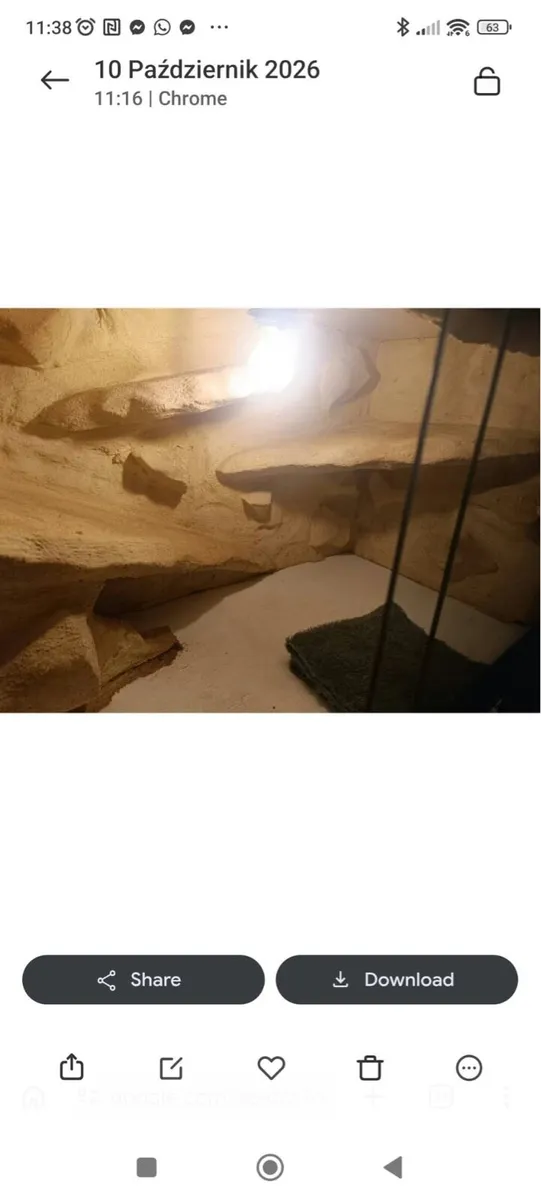 Bearded Dragon Tank - Image 3