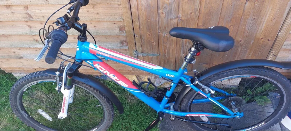 Kids Mountain Bike - Image 1