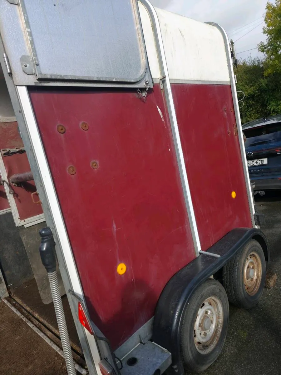 Ifor Williams horse box - Image 3