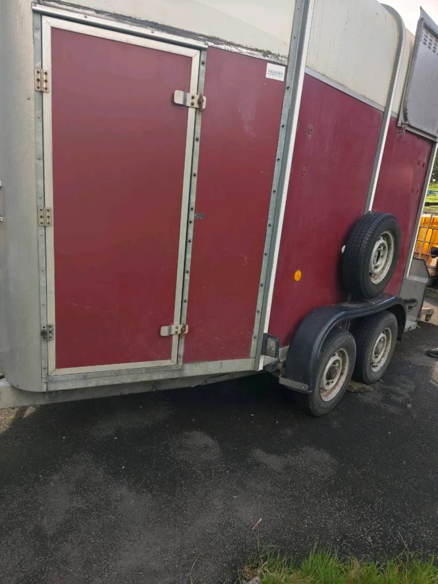 Ifor Williams horse box - Image 1
