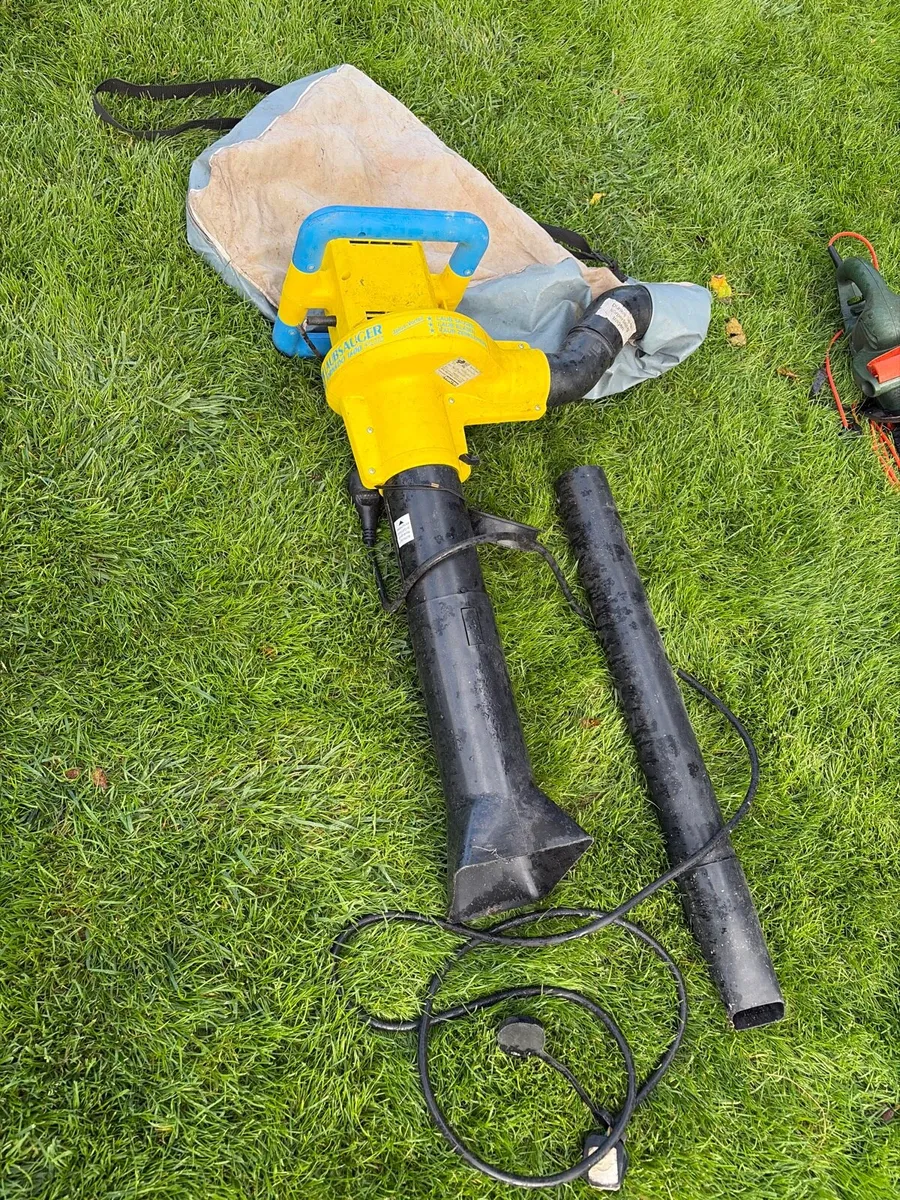 Electric leaf blower and vacuum