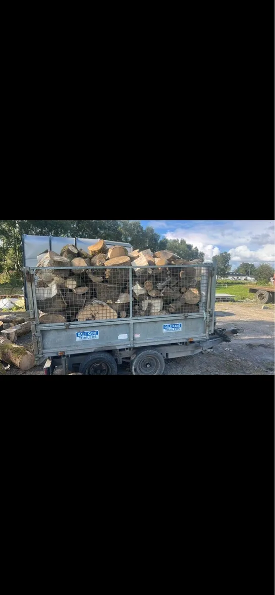 Firewood - Image 3