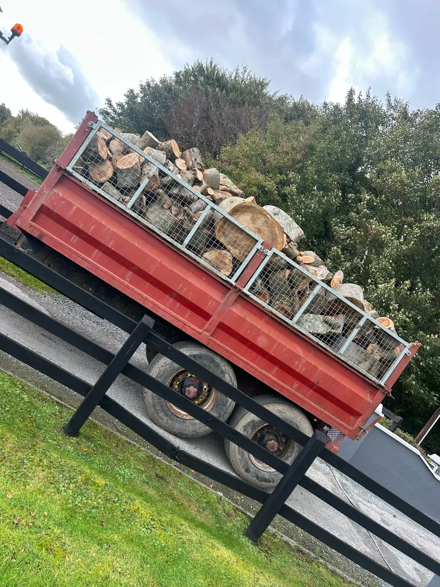 Firewood - Image 1
