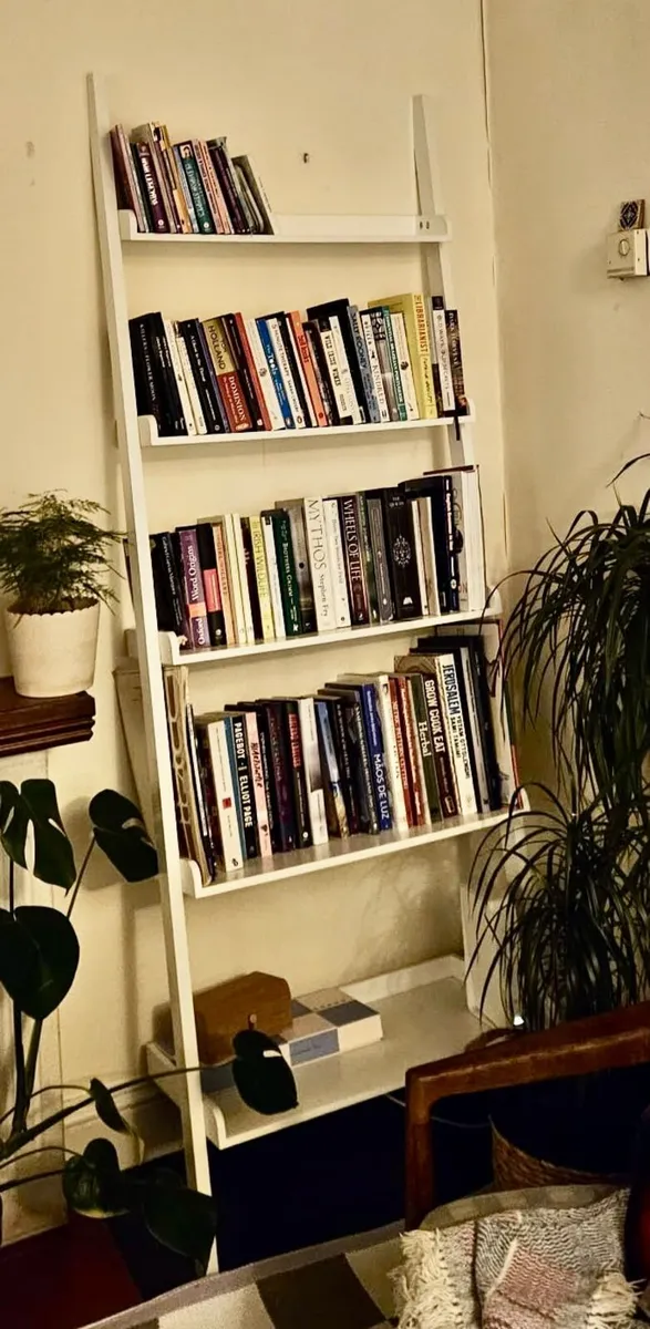 White Ladder Bookshelf/ Shelving Unit - Image 1