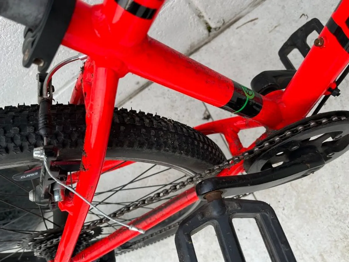 Forme Cubar Jr Mountain Bike - Image 2