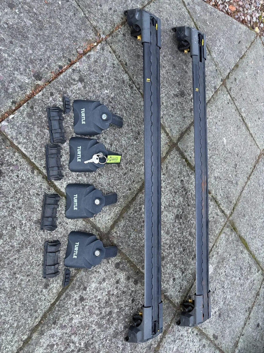 Turtle Car Roof Rack - Image 1