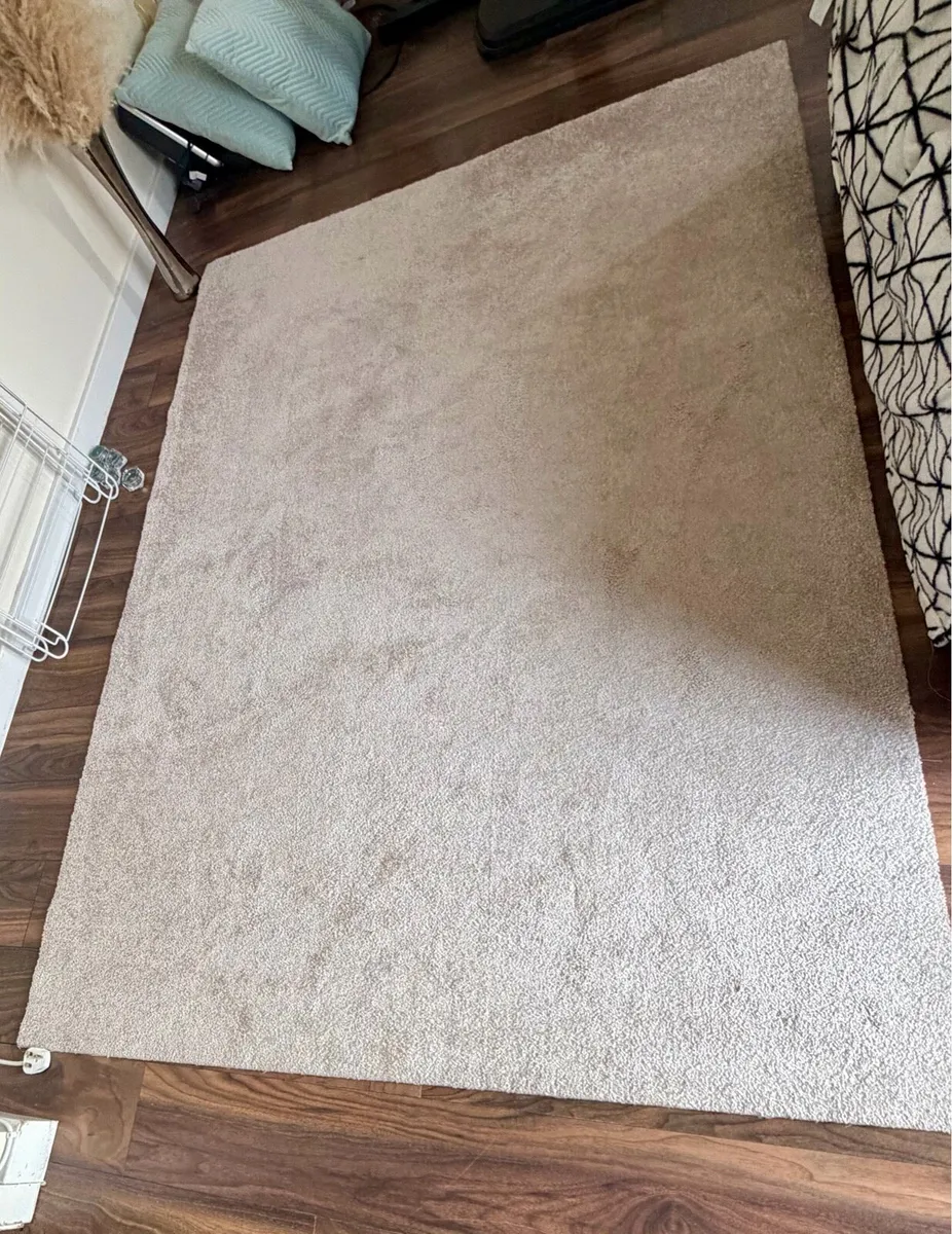 Cozy Beige Rug - Like New! ✨D15 - Image 2