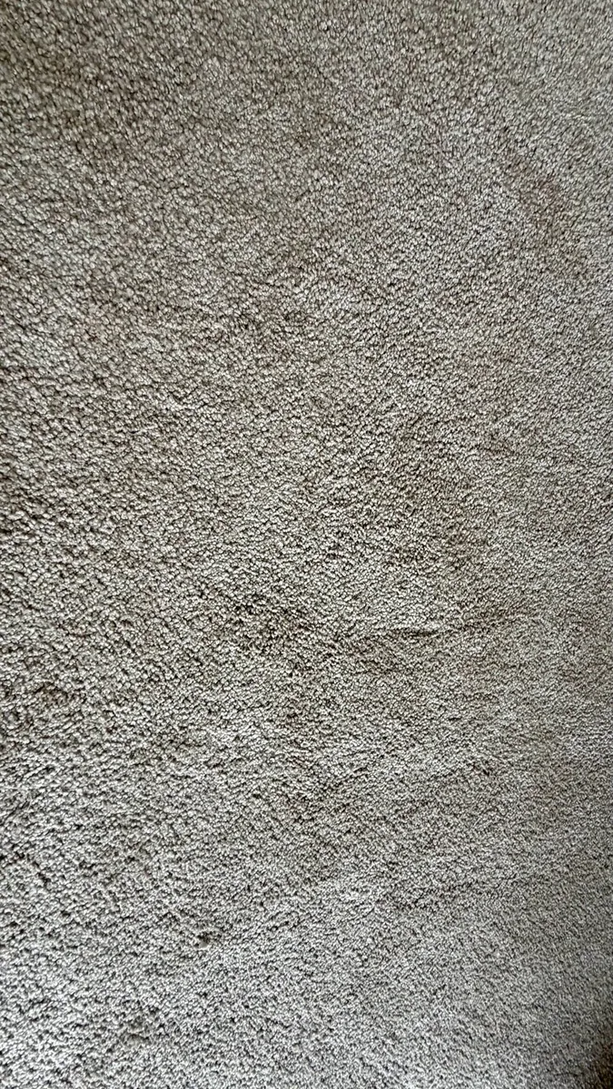 Cozy Beige Rug - Like New! ✨D15 - Image 3