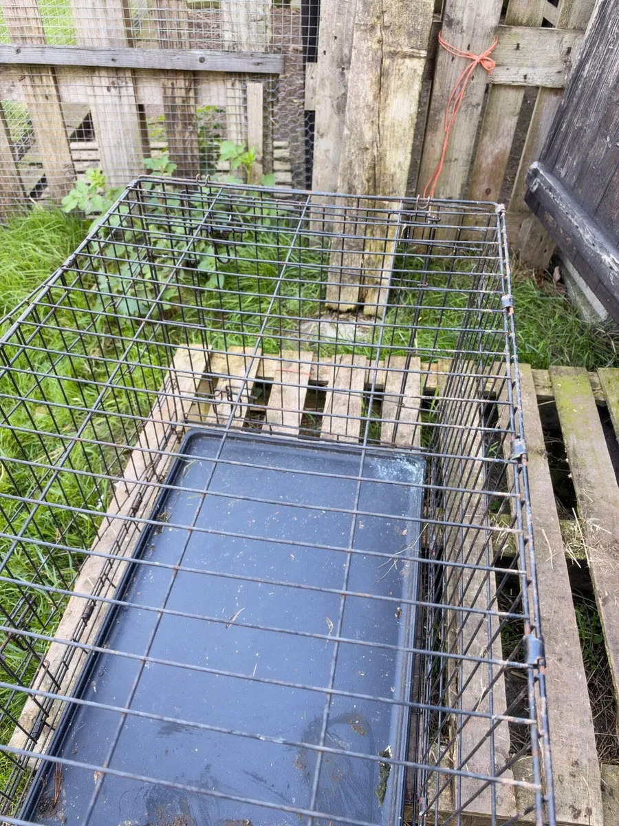 Dog cages