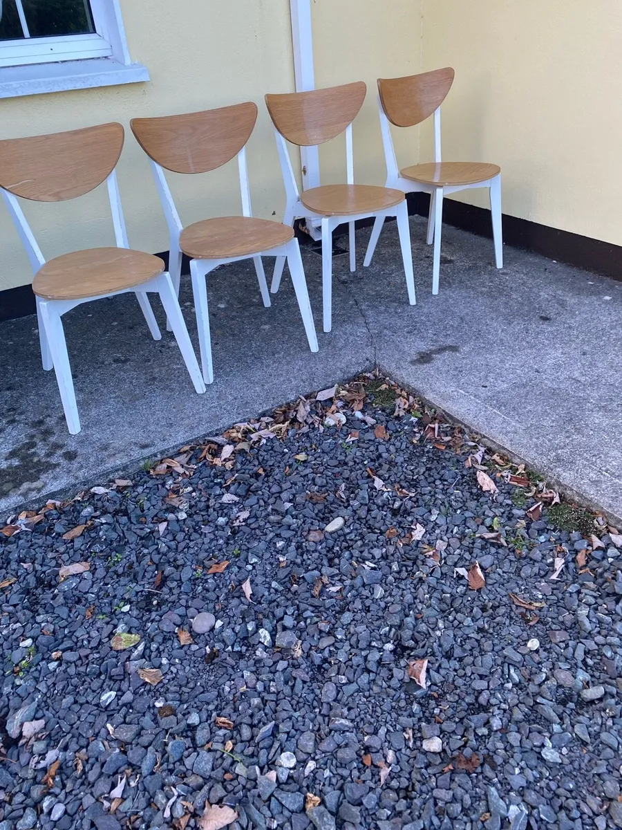 Kitchen chairs - Image 2