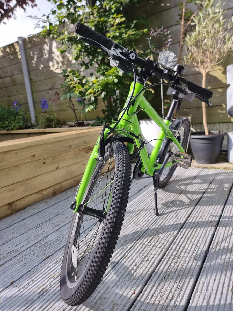 Frog 55 Bike - Image 2