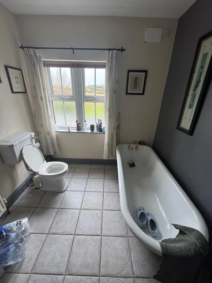 Roll top cast iron bath - Image 2