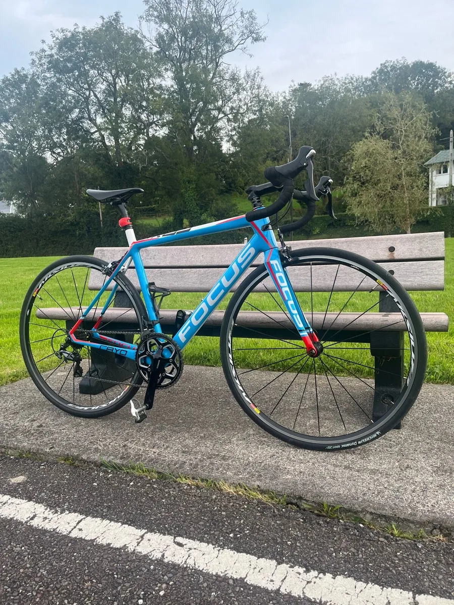Focus Cayo Road bike. - Image 1