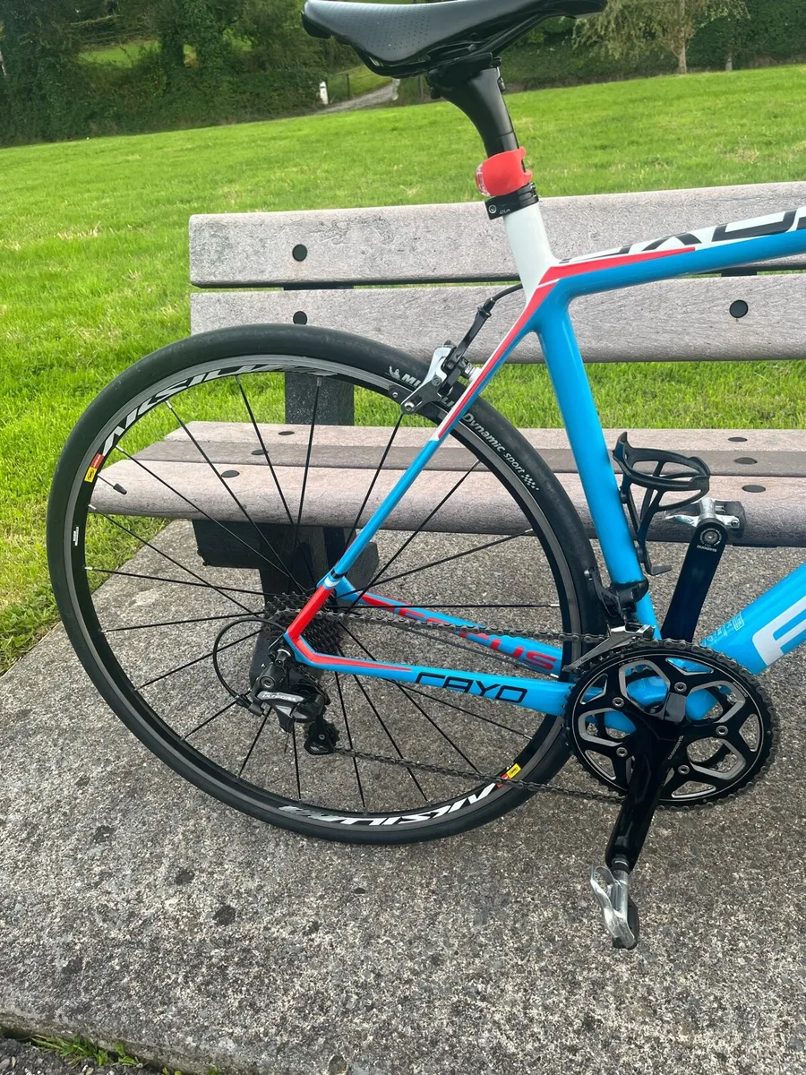 Focus Cayo Road bike. - Image 4