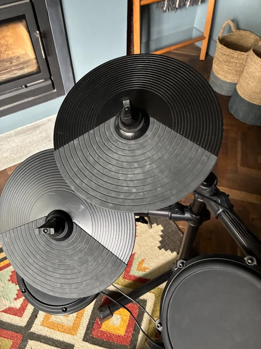 Alesis Drum Kit (DM6 Drum Module) - Image 2