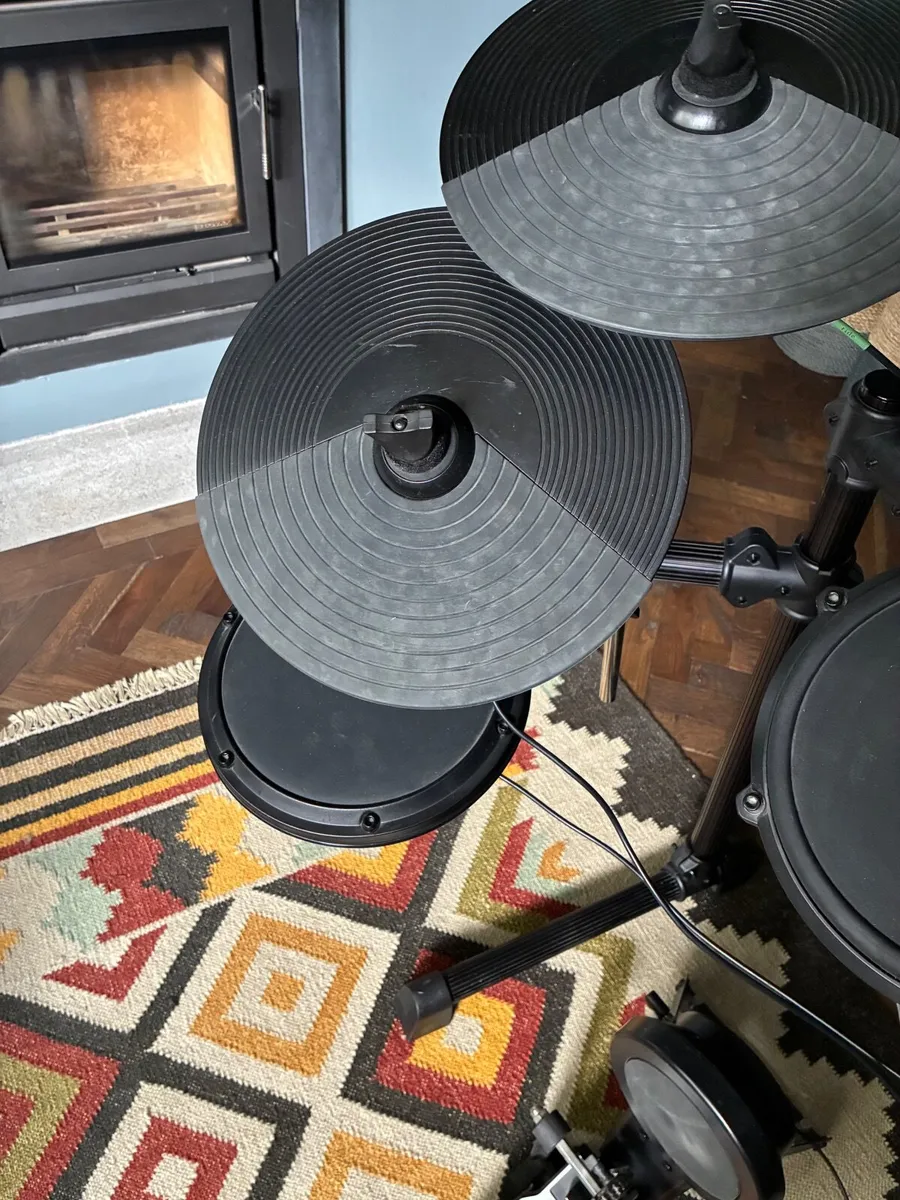 Alesis Drum Kit (DM6 Drum Module) - Image 4