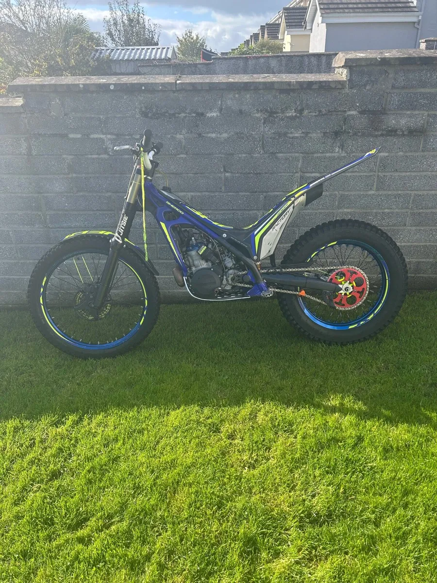 Sherco st factory 250 trials bike - Image 2