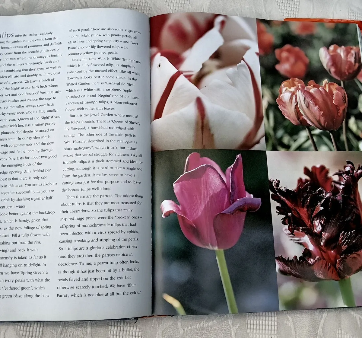 The Complete Gardener by Monty Don. - Image 3