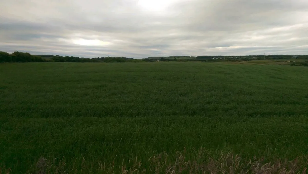Silage Bales - Image 1
