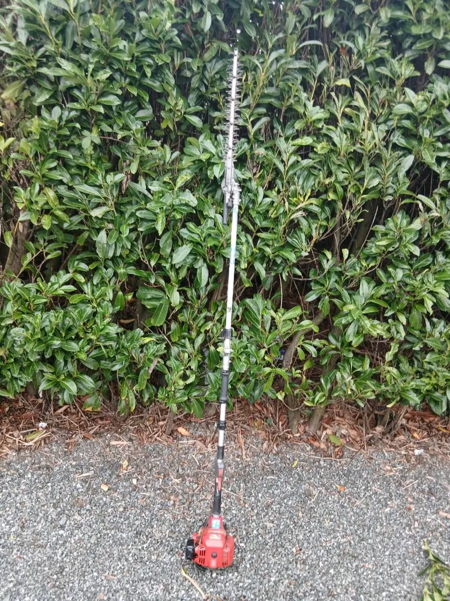 Shindaiwa Pole saw - Image 1