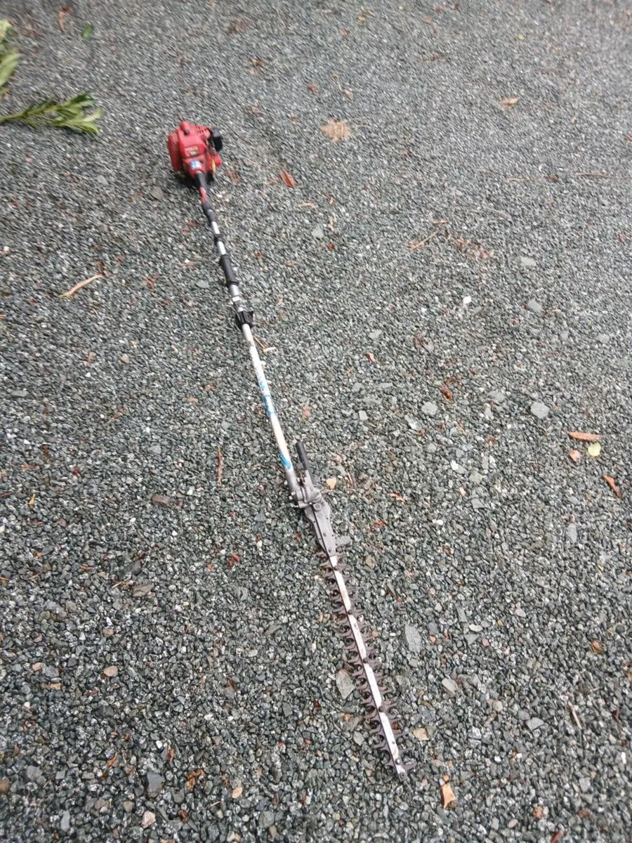 Shindaiwa Pole saw - Image 3
