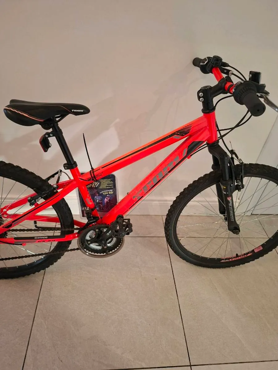 Mountain bike - Image 1