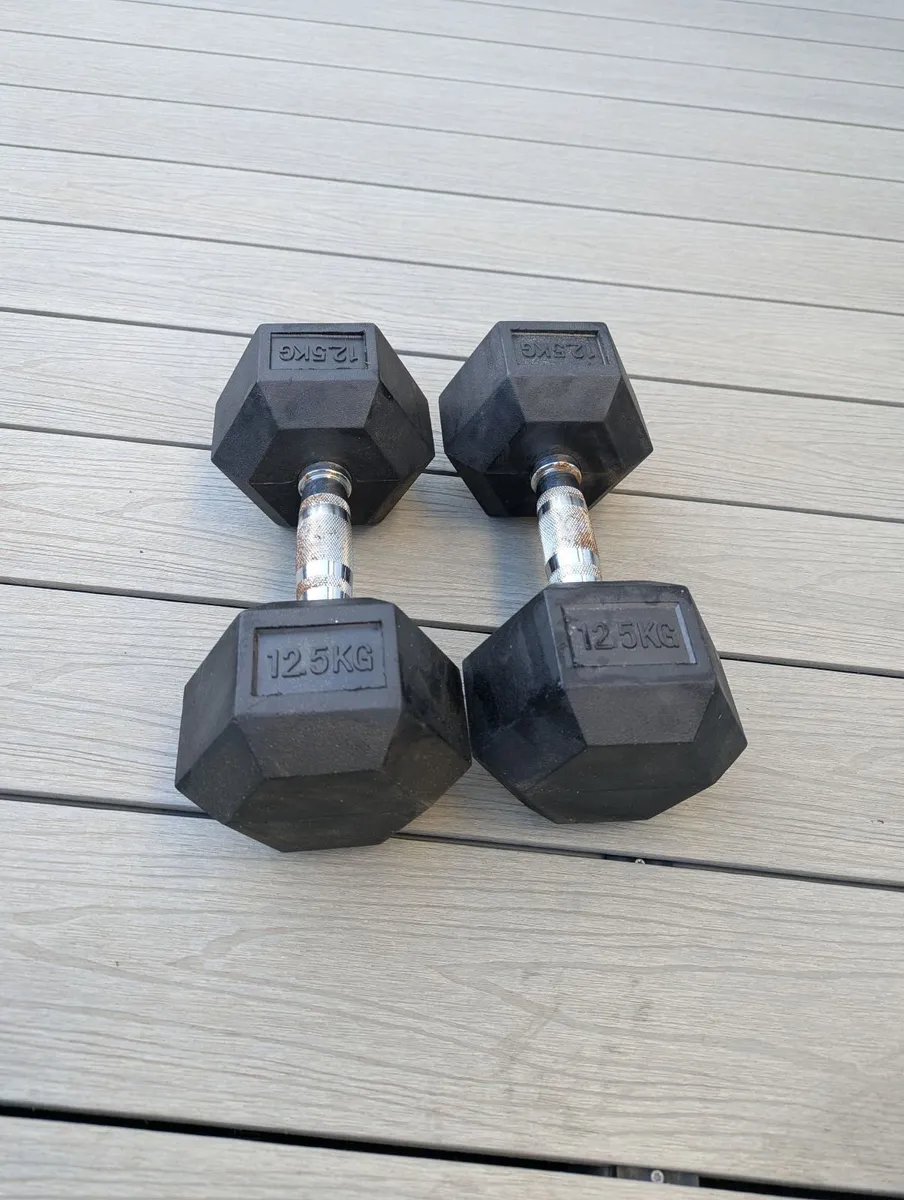 12.5kg Hex Dumbbells - Image 1