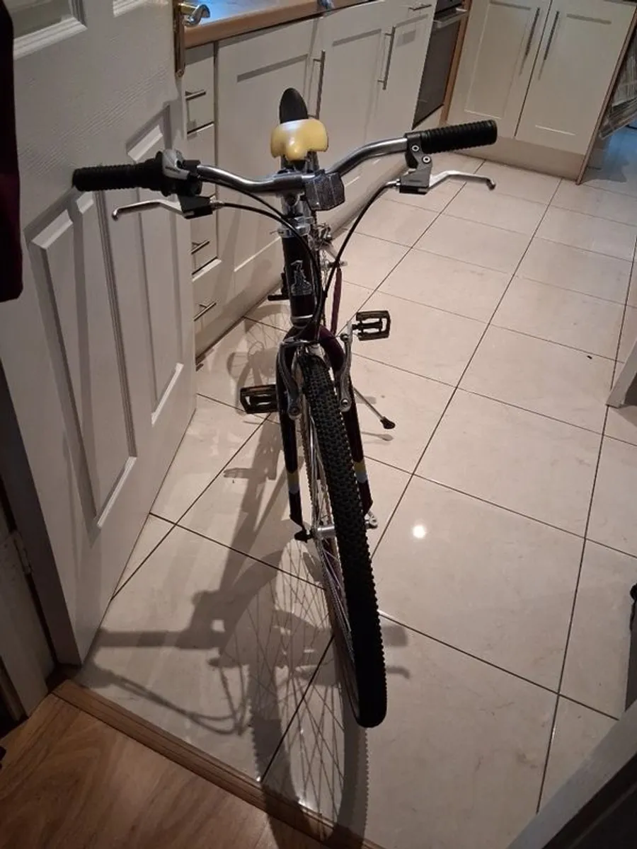 Older Girls Raleigh bike 26" - Image 1
