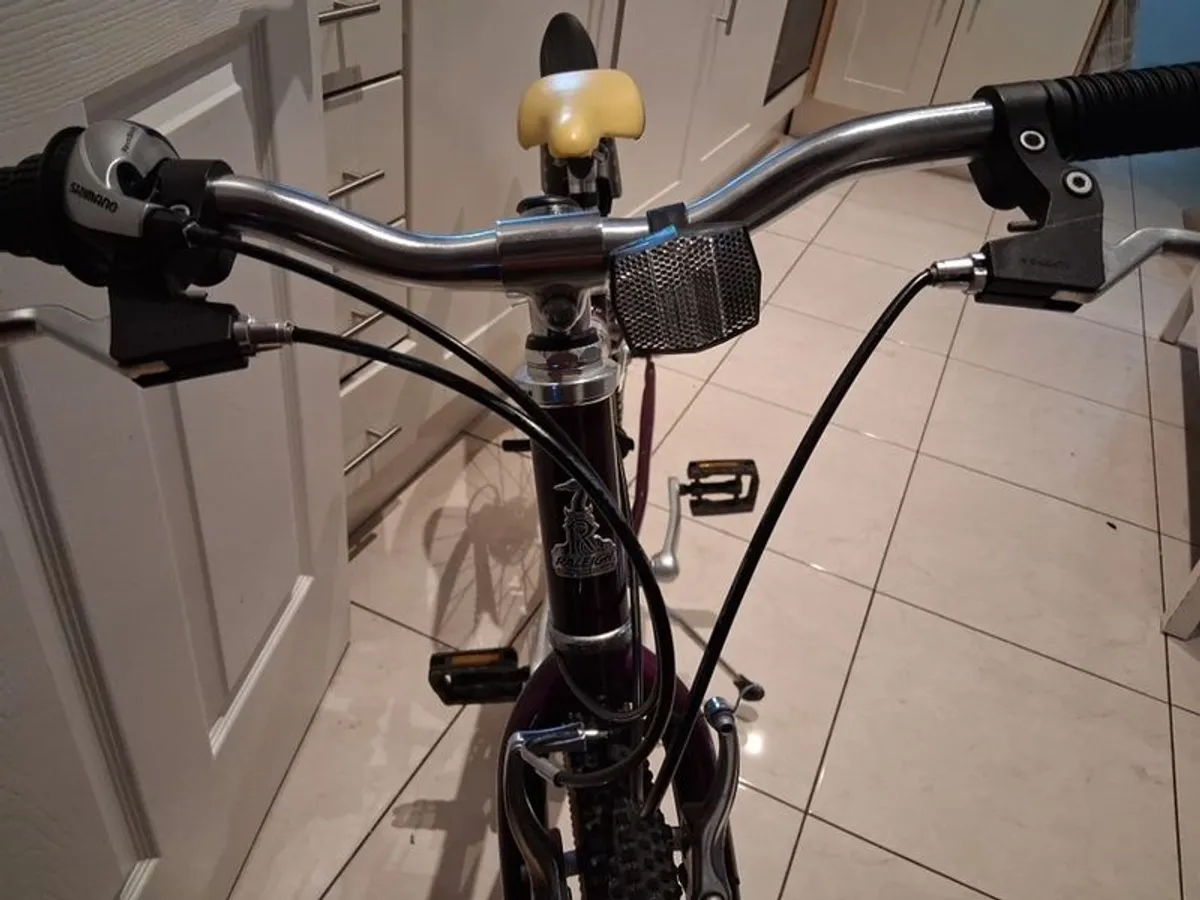 Older Girls Raleigh bike 26" - Image 2