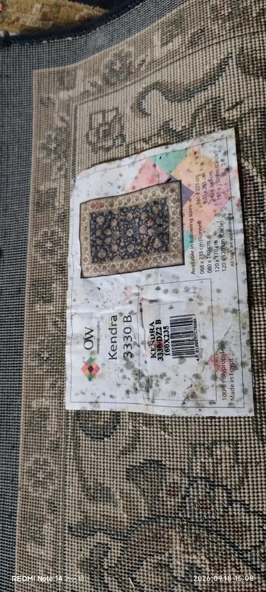 carpet - Image 1