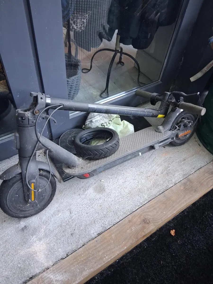 Skooter - Image 1