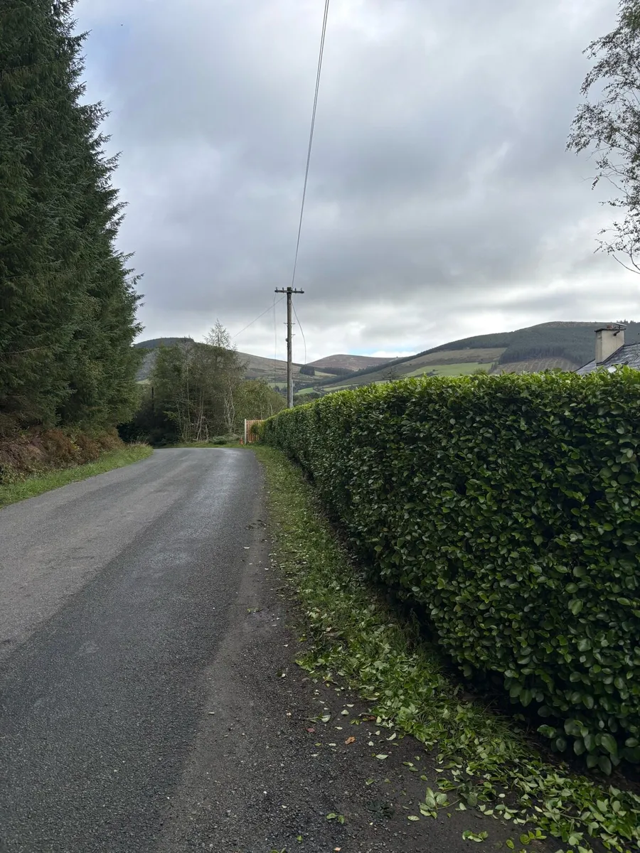 Hedge cutting services and general tidying - Image 1