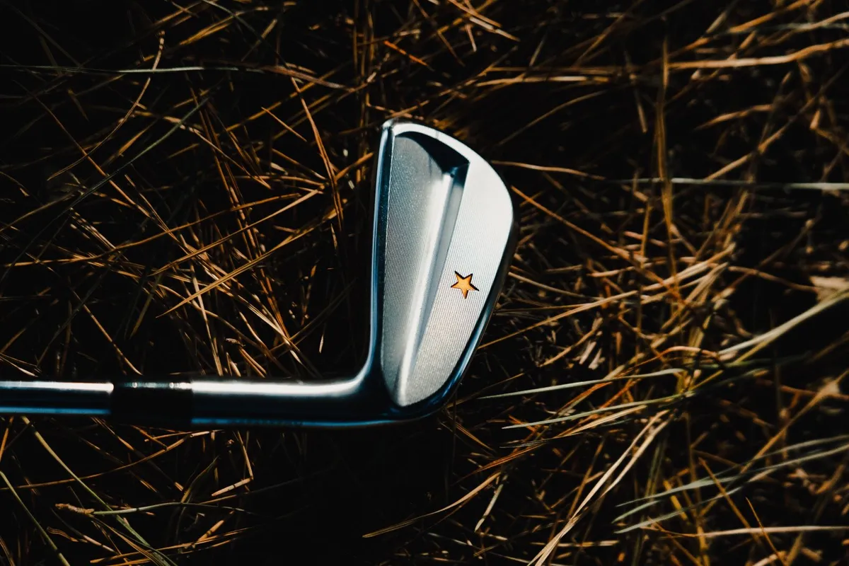 Vega SS model irons (Japanese irons) - Image 1